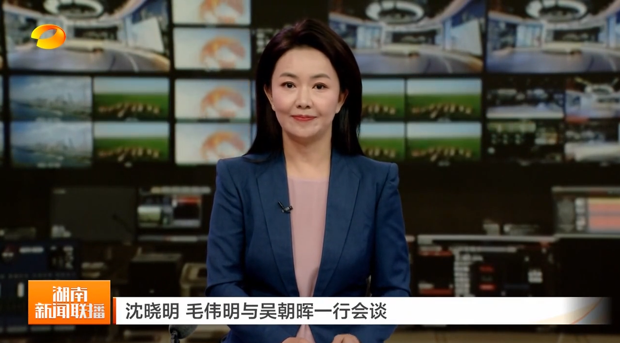 沈晓明 毛伟明与吴朝晖一行会谈