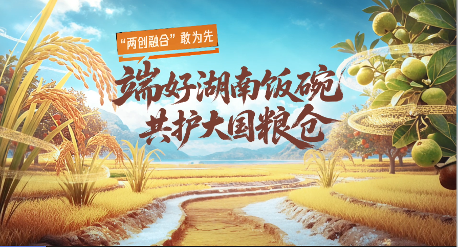 05“两创融合”敢为先 端好湖南饭碗 共护大国粮仓（成片）