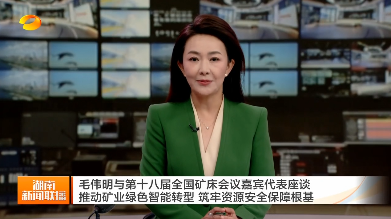 毛伟明与第十八届全国矿床会议嘉宾代表座谈